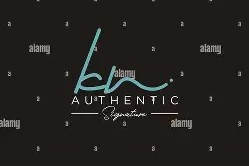 kkn什么梗-开云最新网址