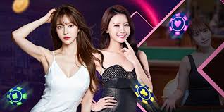 开云体育APP | KAIYUN中国官方版