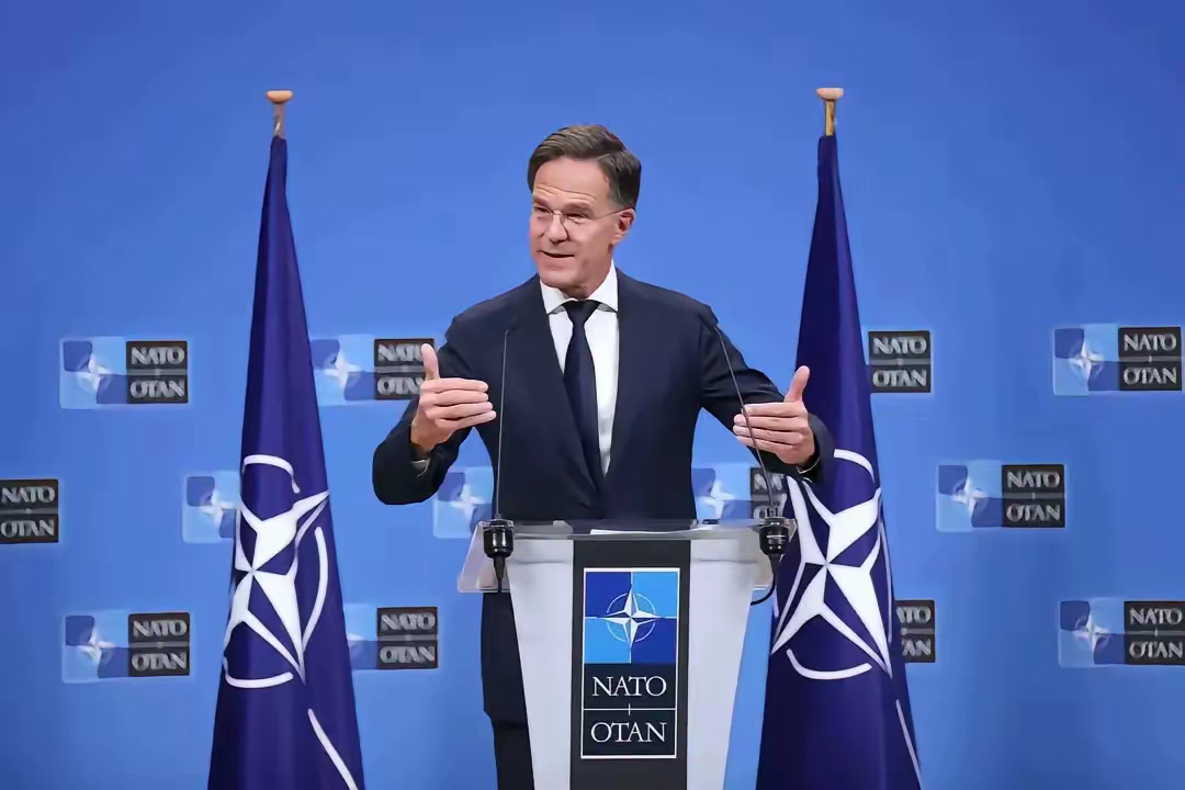 张茜原唱用力活着