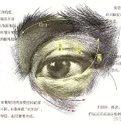 黑群晖最稳定版本v70全洗白版硬盘 黑群晖最稳定版本v70全洗白版硬盘